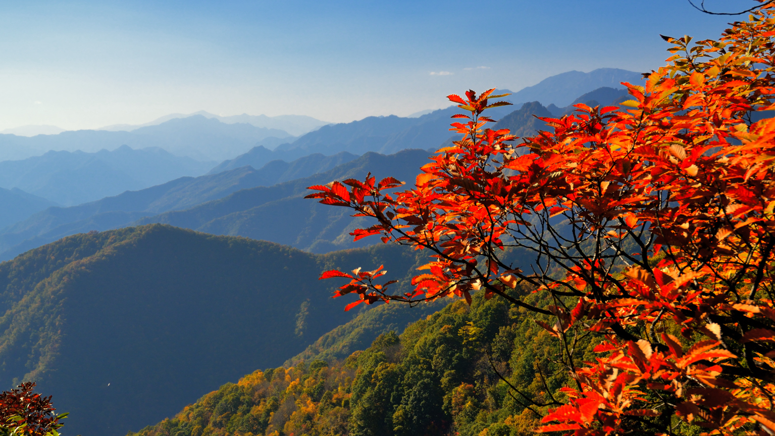 秦岭秋色-摄于黄花岭