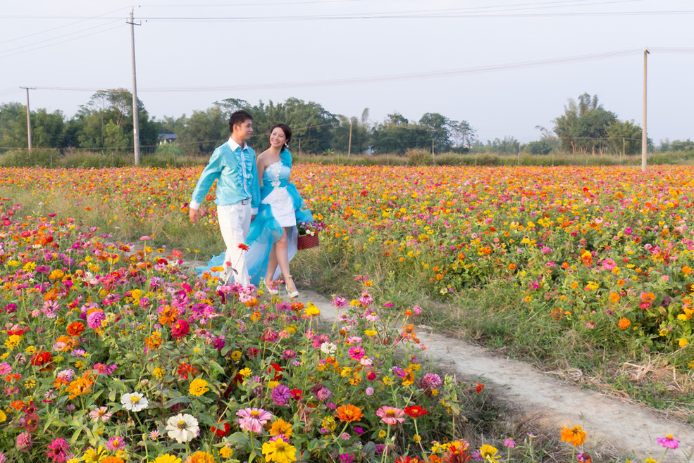 爱情花海