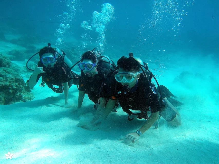 【十月塞班潜水摄影 机器是尼康潜水相机摄影图片】风光摄影_太平洋电