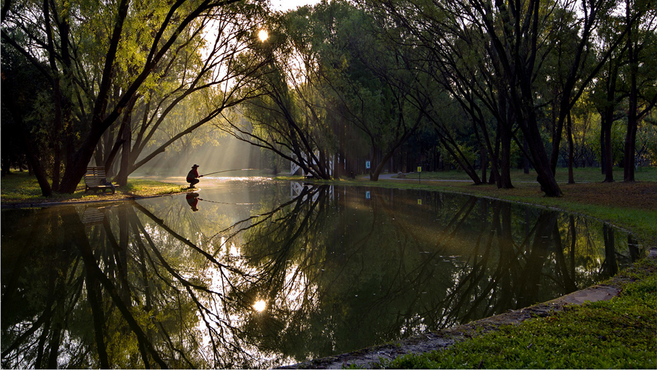 森林公园初秋景