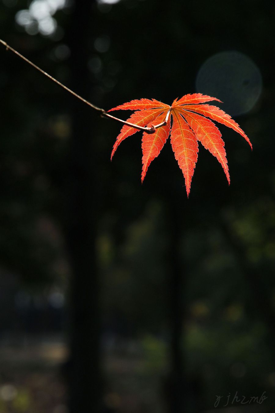 天平-秋意浓(共 20 p)