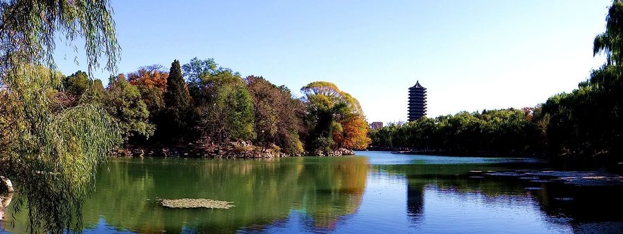 【【北京之秋所见】--未名湖畔--(3)摄影图片】