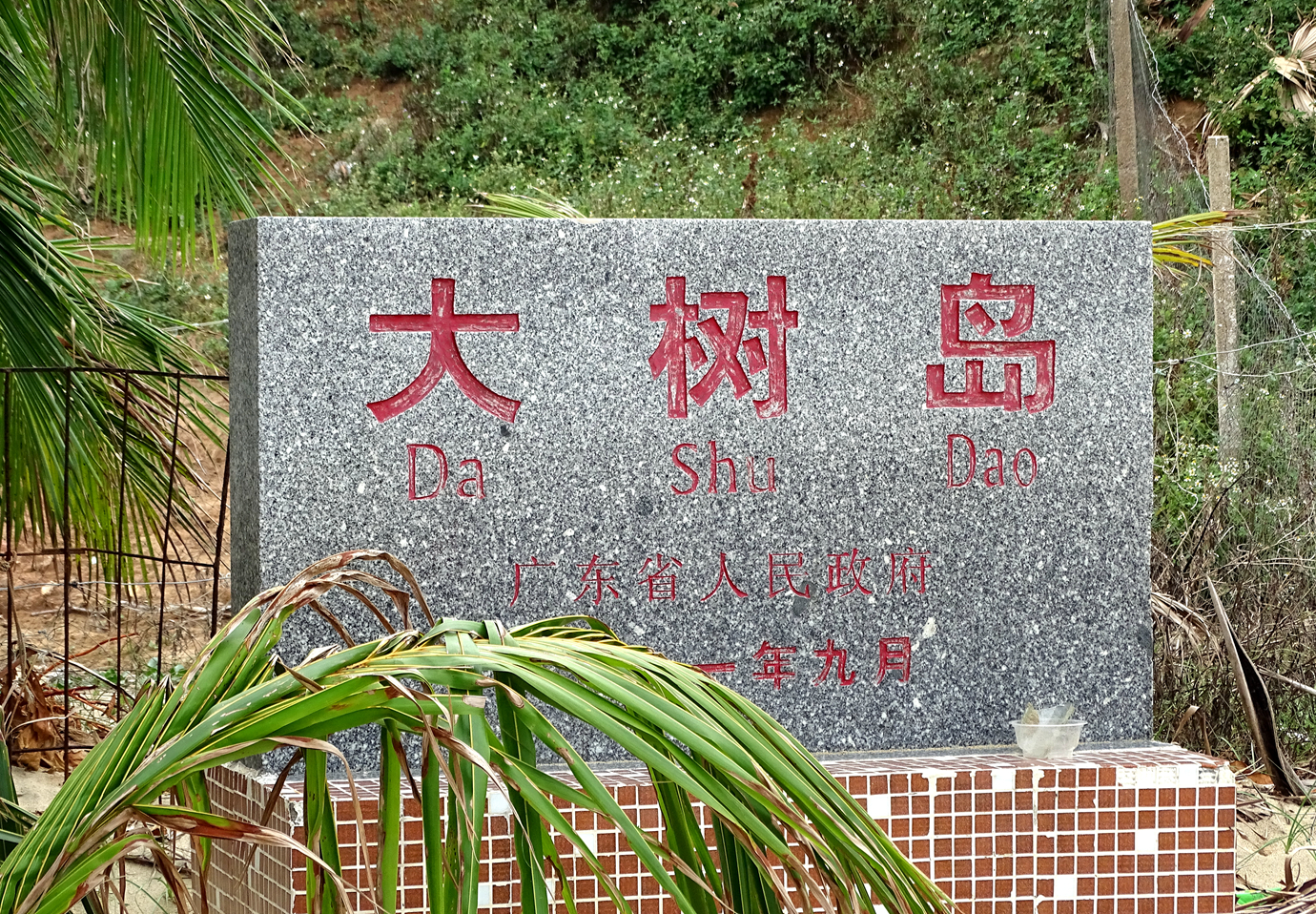 阳西大树岛