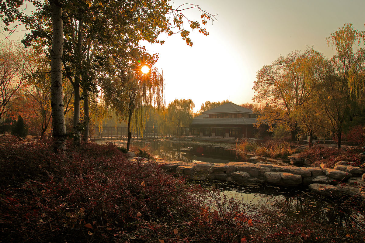 清晨的香山植物园-中关村在线摄影论坛