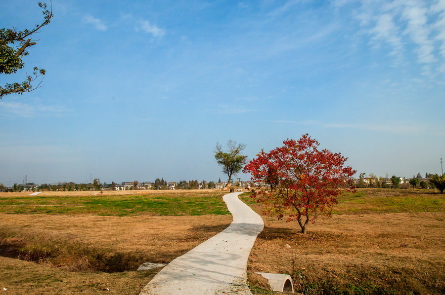 "新五朵金花"之首——杨柳湖风景区