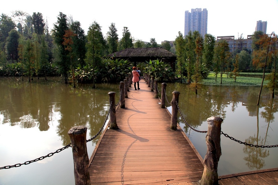 重庆 璧山湿地公园