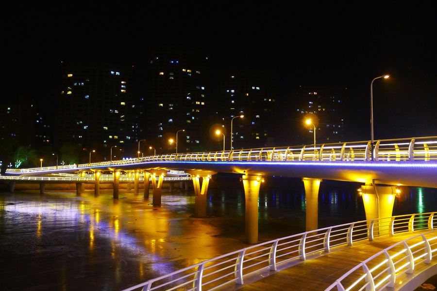 江心岛的步行桥夜景