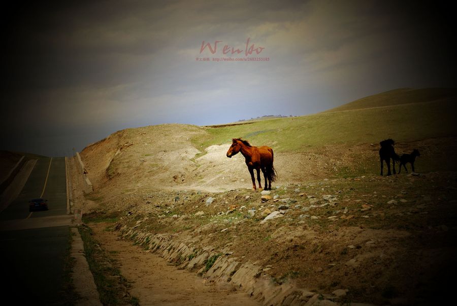 【那年·林西--哒哒马蹄走过达达线(内蒙古赤峰