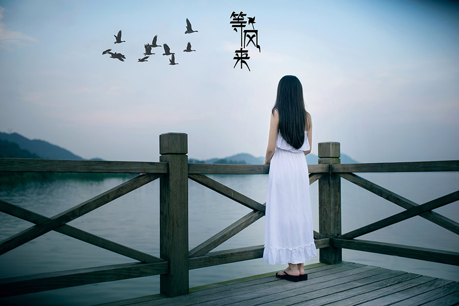 『等风来』