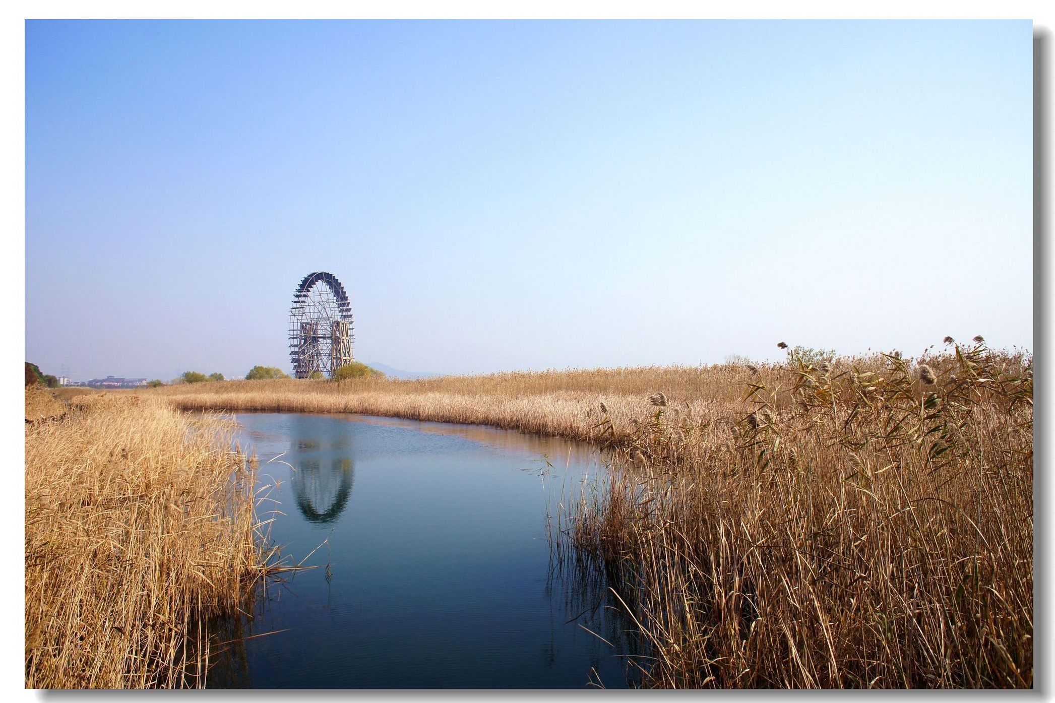 苏州太湖湿地公园掠影