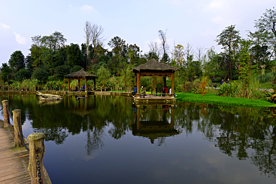 重庆—观音塘湿地公园