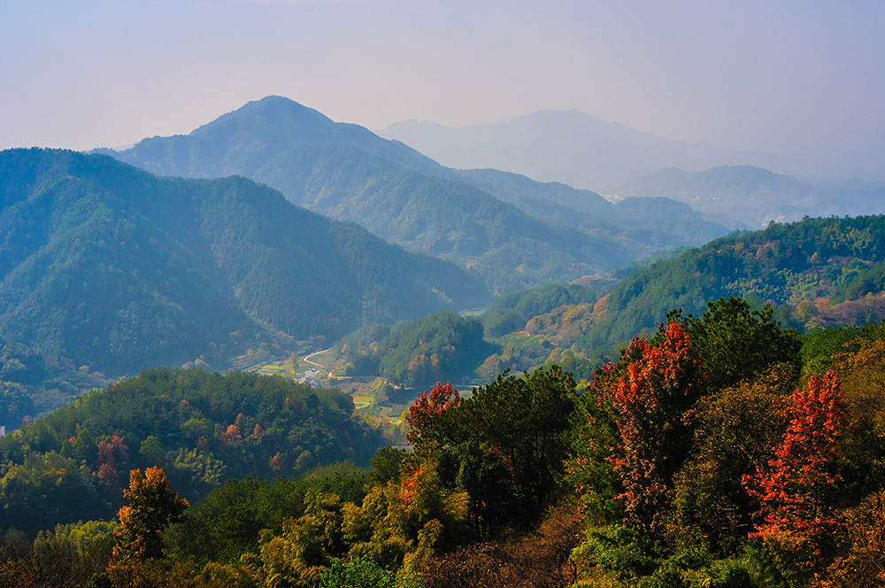 大山里的风景-皖南秋旅(一)