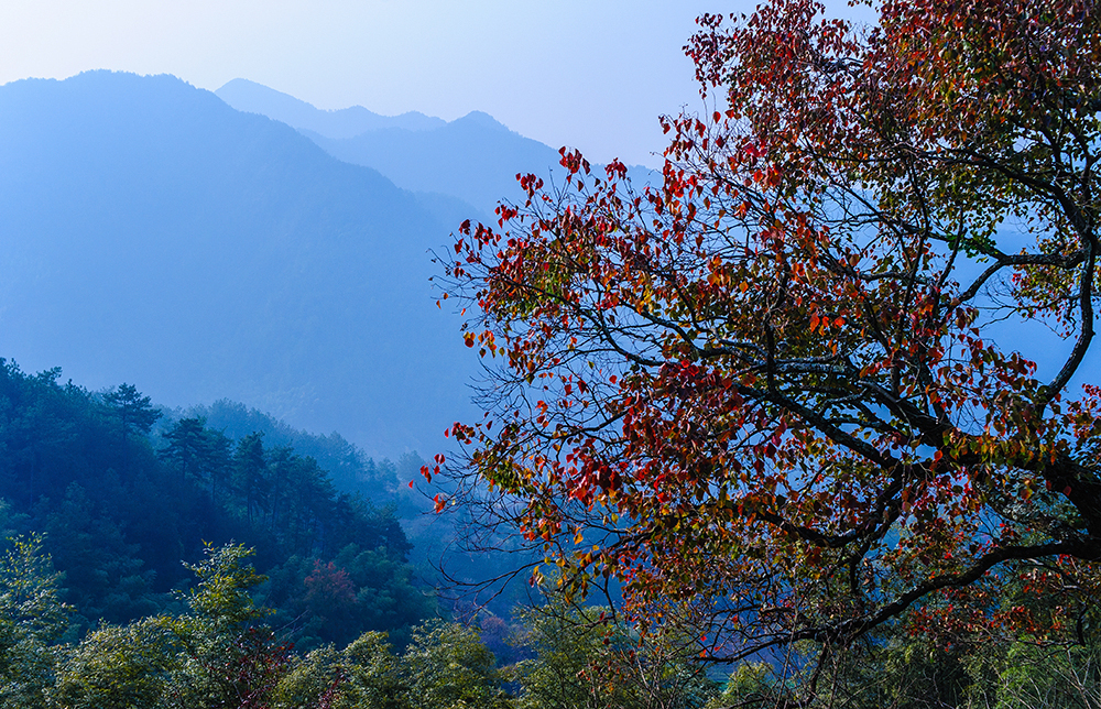 大山里的风景-皖南秋旅(一)