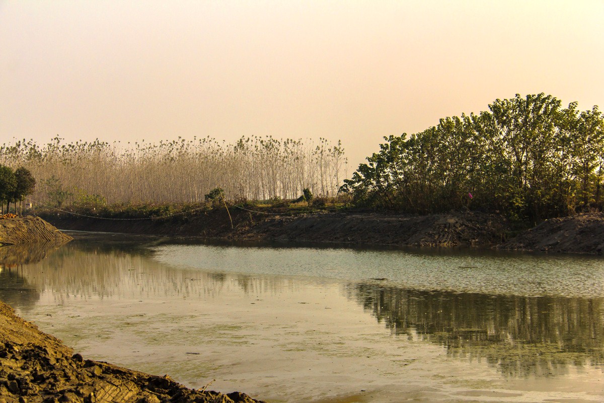 沉湖湿地