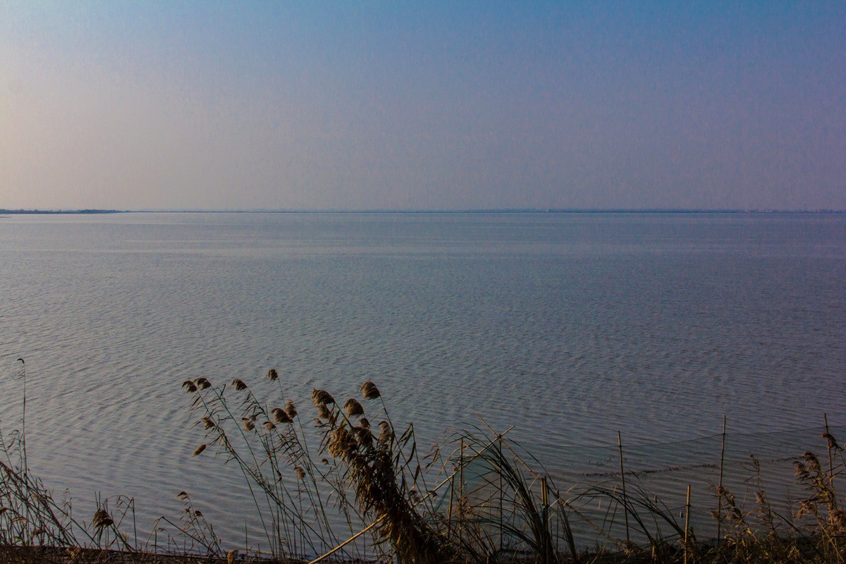 沉湖湿地