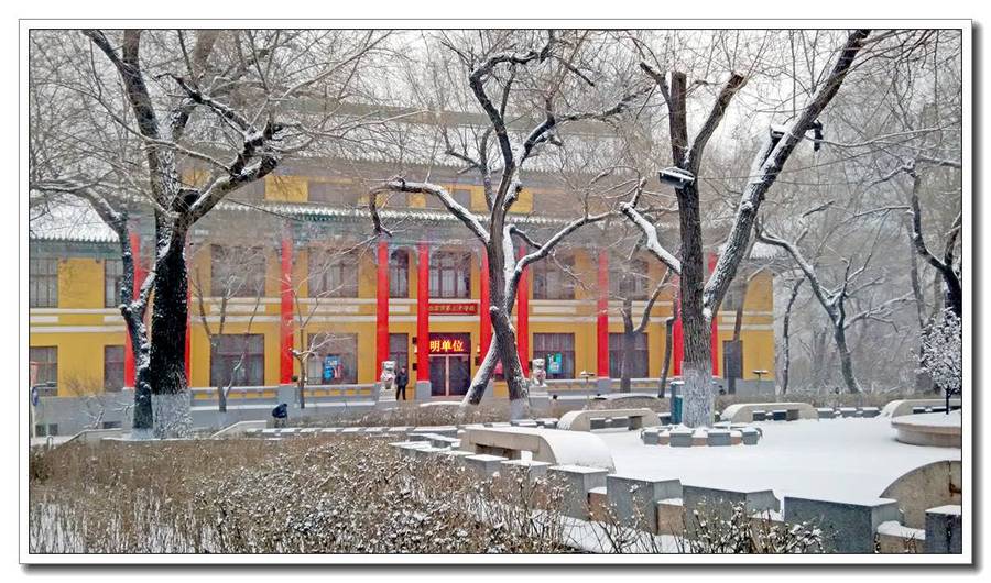 【哈尔滨三中的雪中景色摄影图片】风光旅游摄
