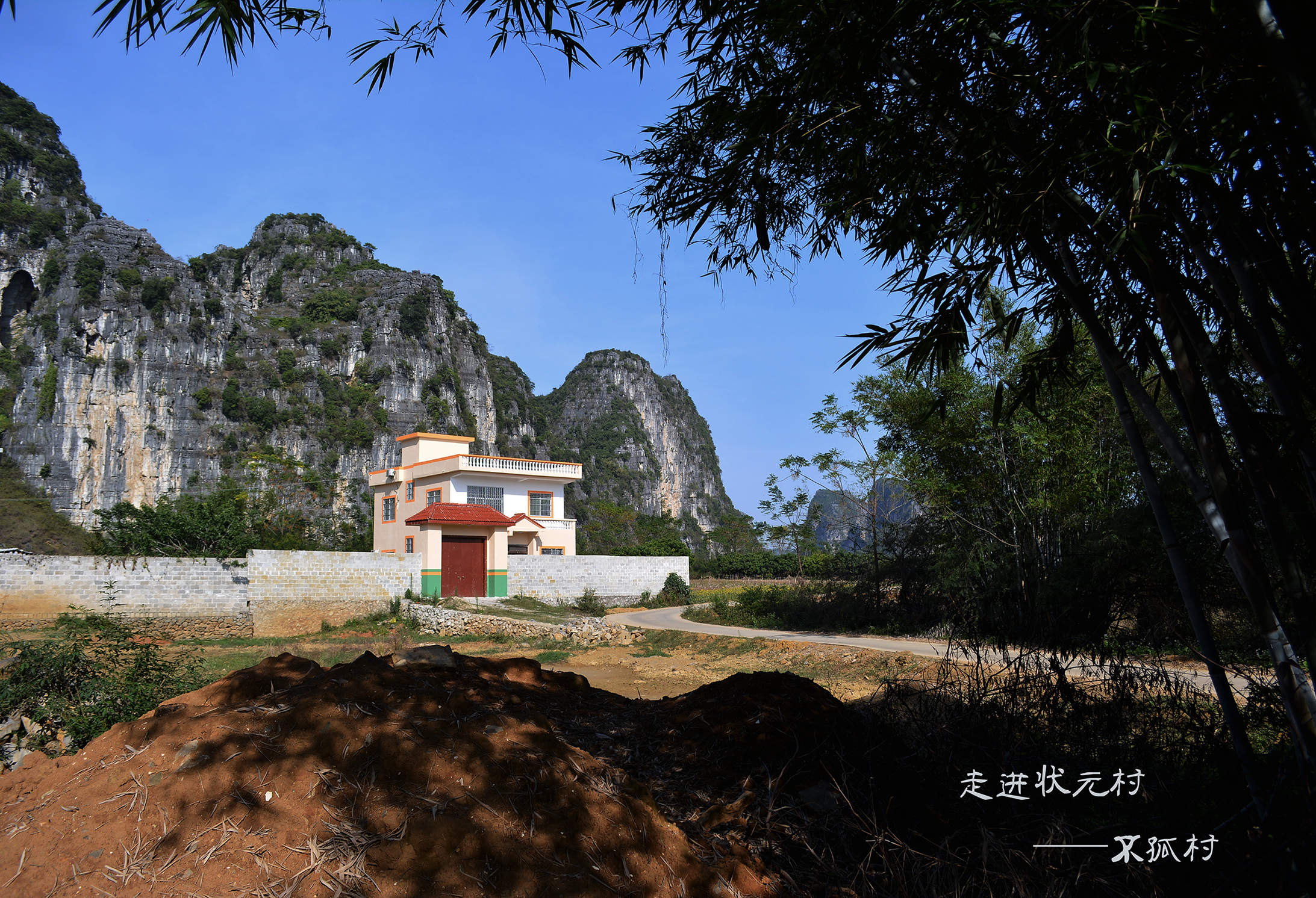 【走进状元村——不孤村摄影图片】广西南宁上林不_花