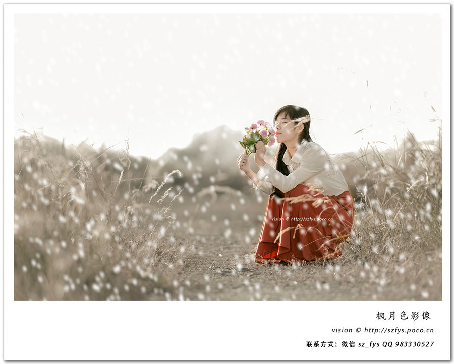 【冬天已经到来,春天还会远么?摄影图片】深圳