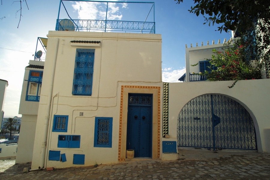【北非突尼斯美丽的蓝白小镇摄影图片】风光摄