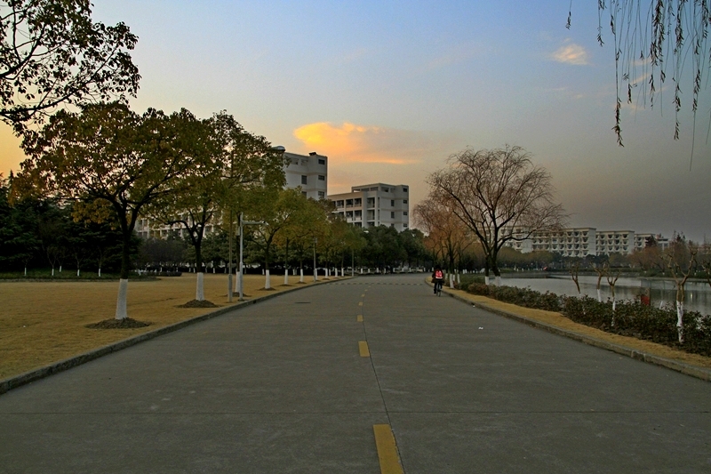 美丽的花园式校园—上海大学