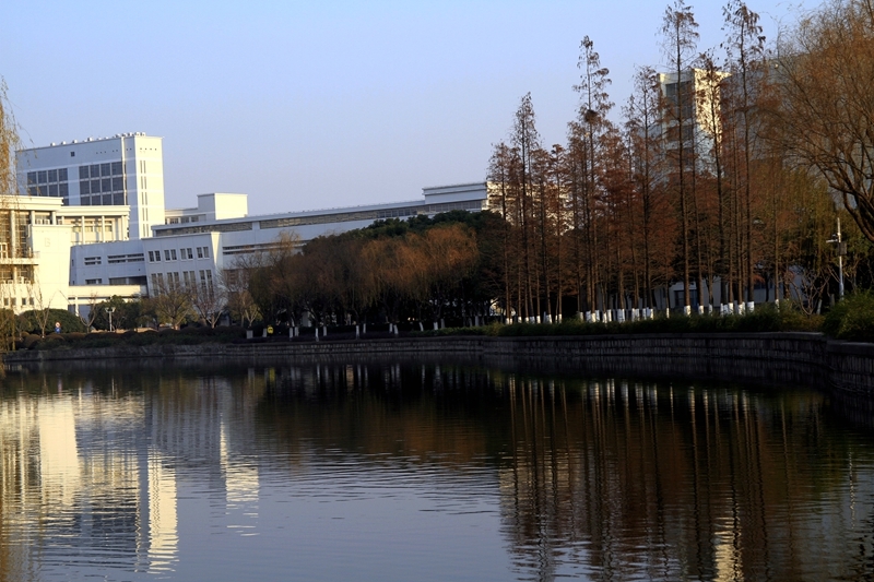 美丽的花园式校园—上海大学