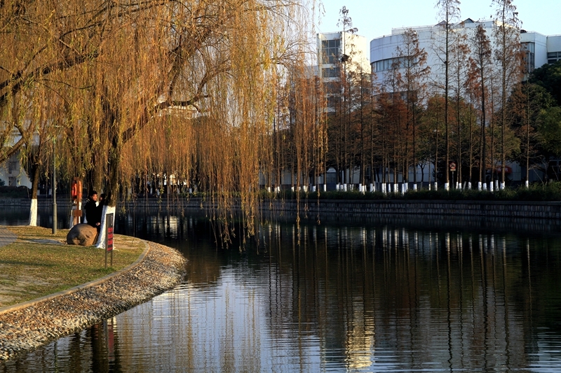 【美丽的花园式校园—上海大学摄影图片】风光摄影_太平洋电脑网摄影