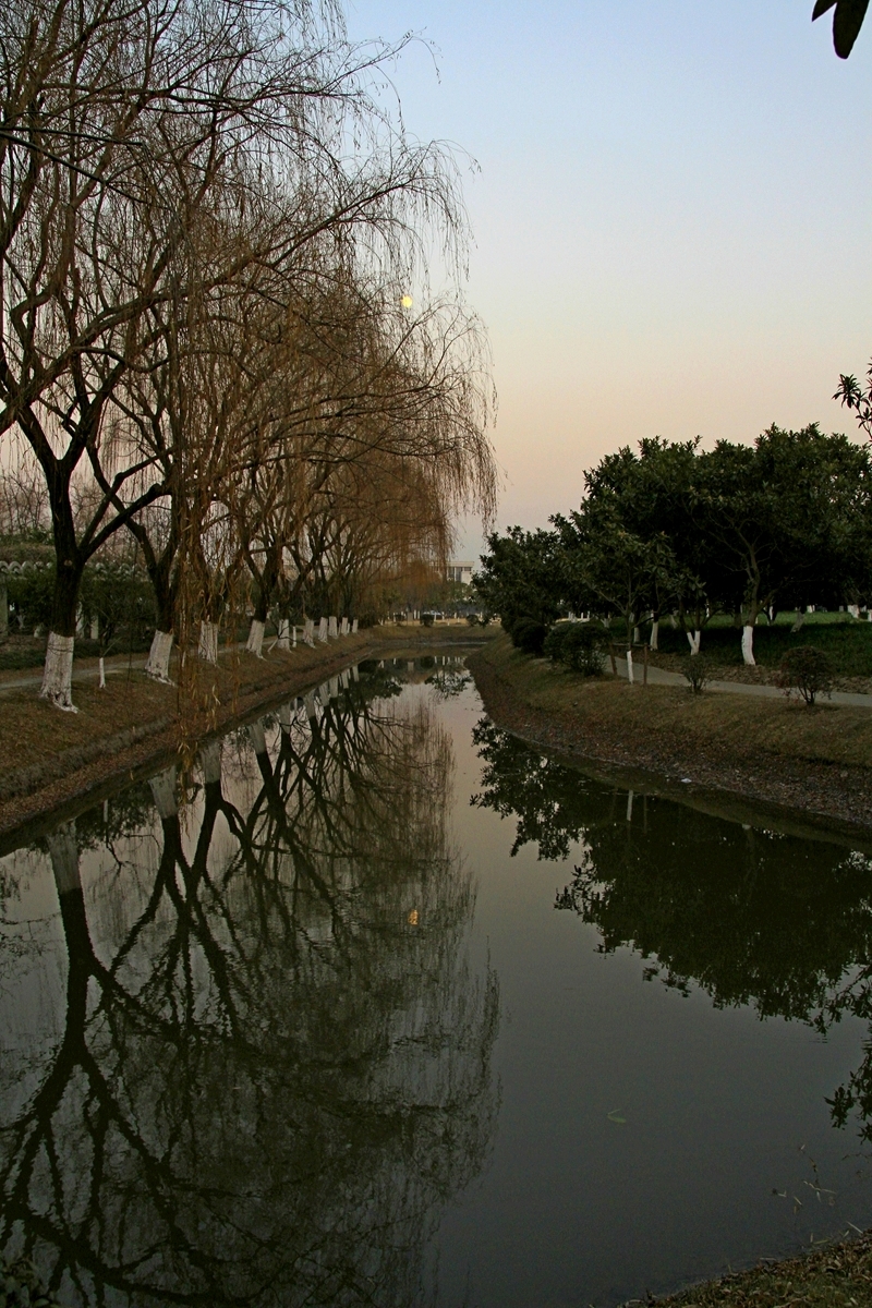 美丽的花园式校园—上海大学