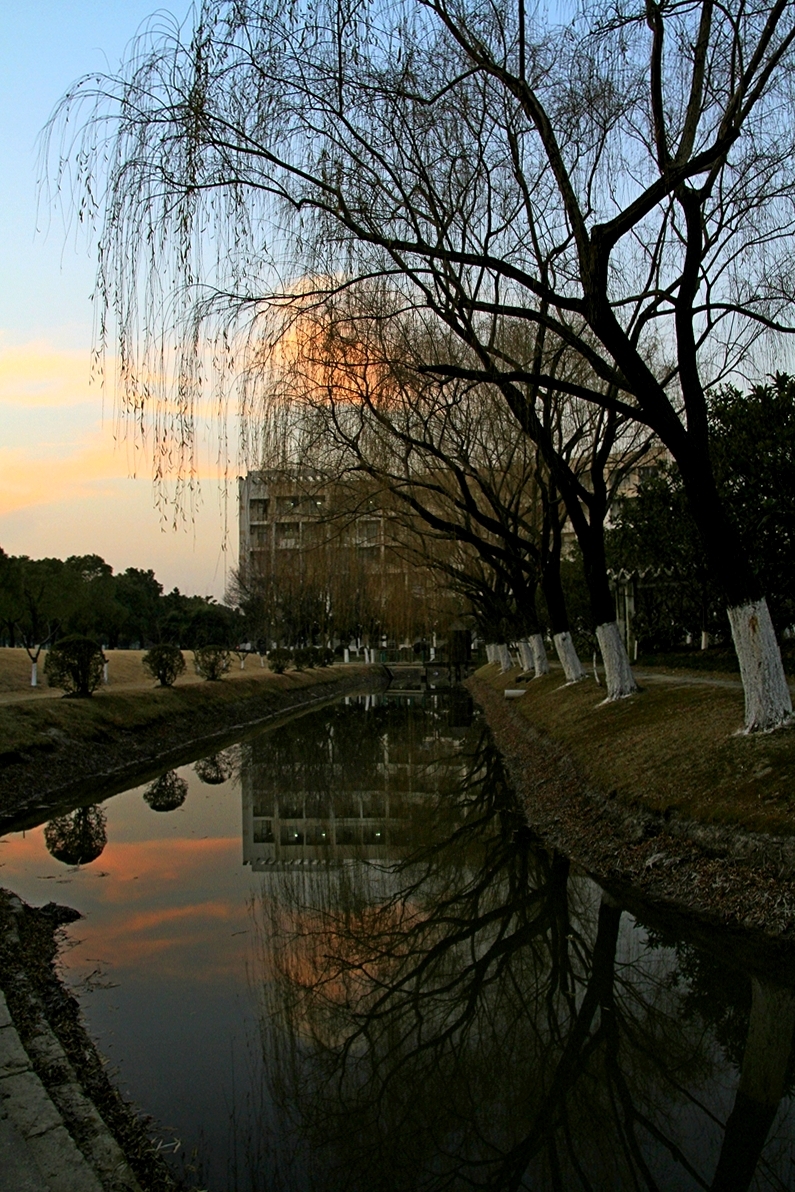 【美丽的花园式校园—上海大学摄影图片】风光摄影_网