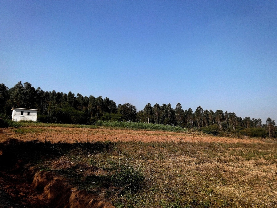 小山村里的风景2