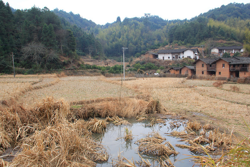 罗塘坪山印象