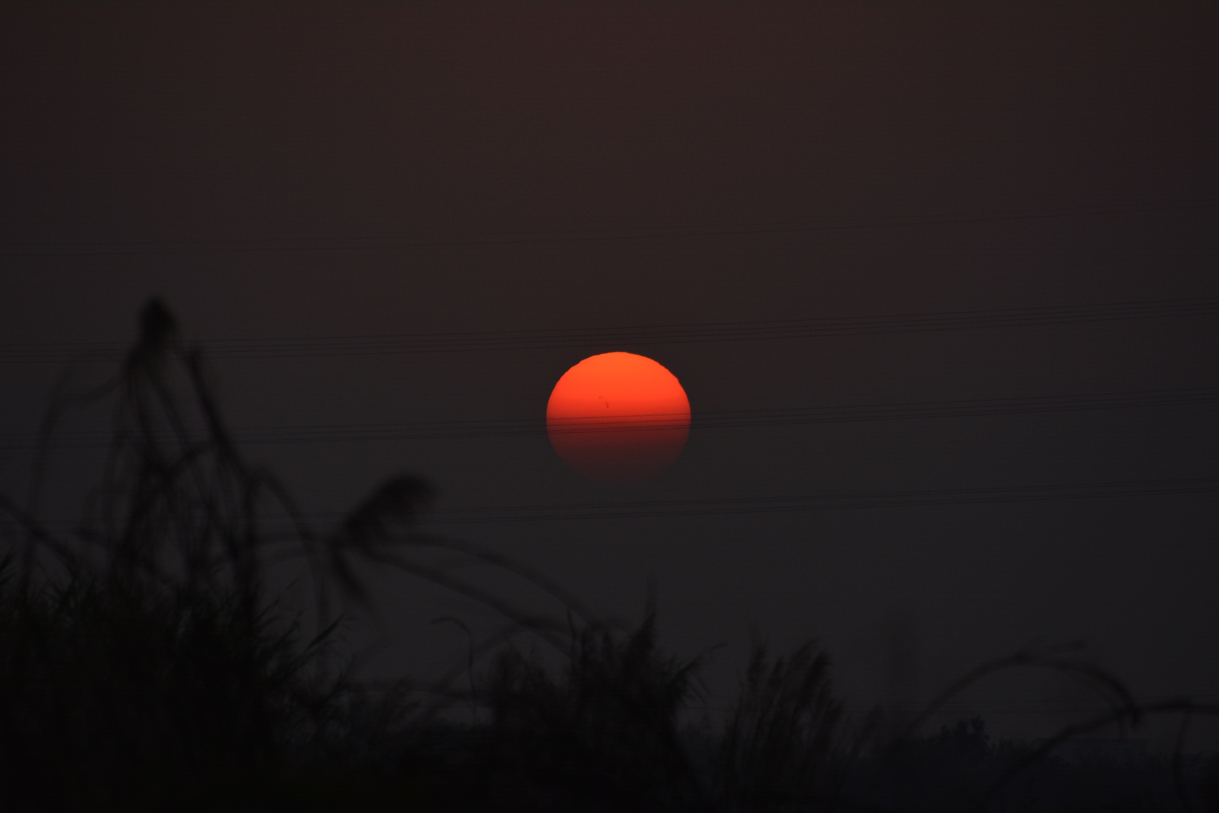 一抹夕阳红