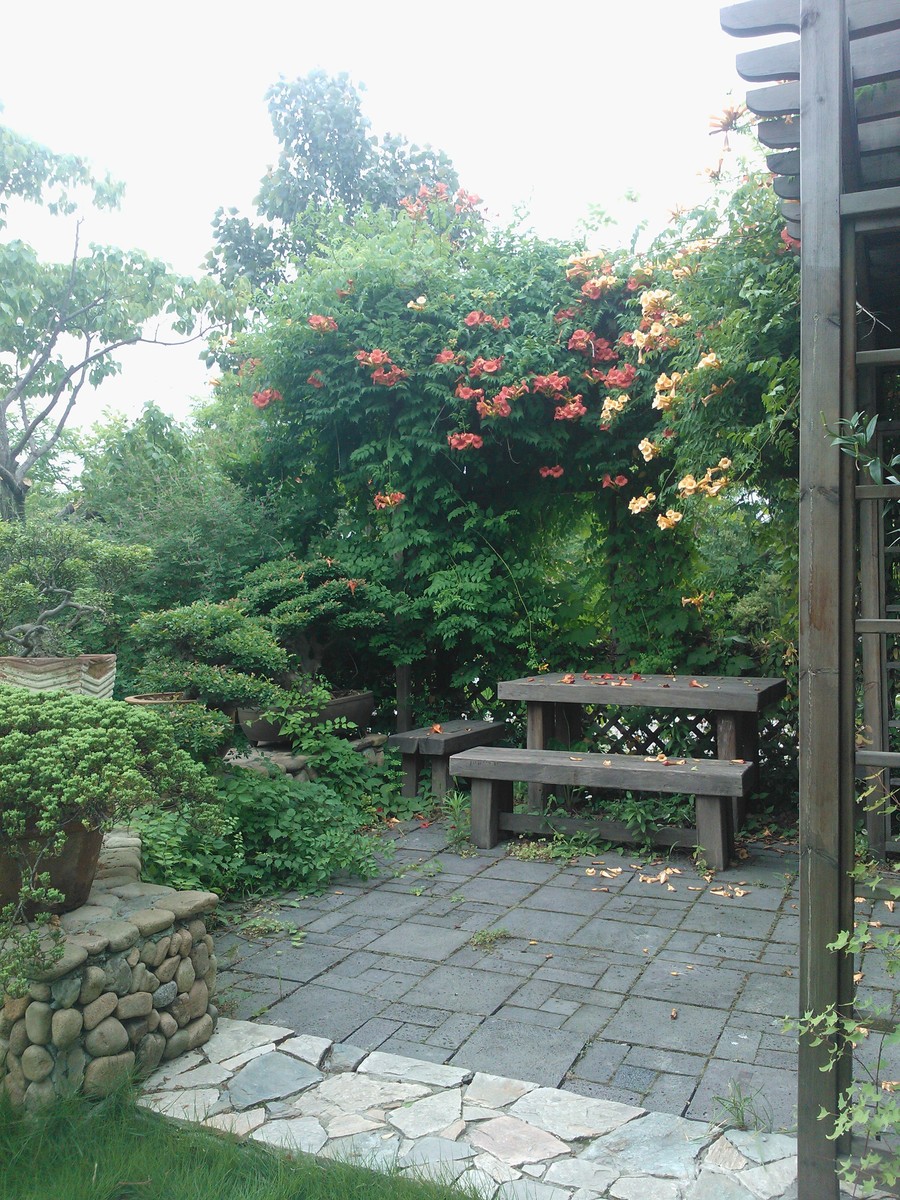 【辰山植物园(六)各种花卉识别2014.06.19摄影