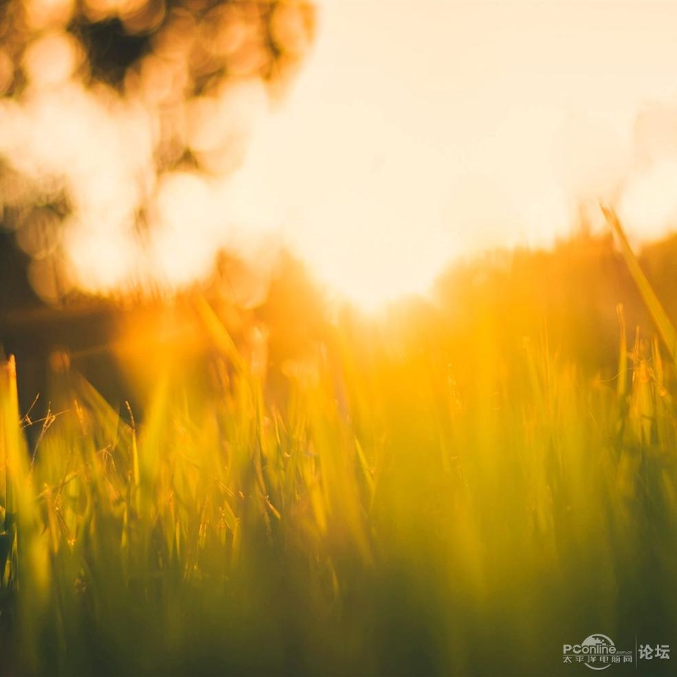 温暖阳光风景壁纸 第二辑