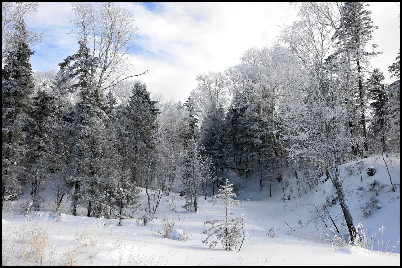 雪景色 SNOW 写真素材 フリー高解像度写真 ＝Picture Box＝ 著作権フリー写真