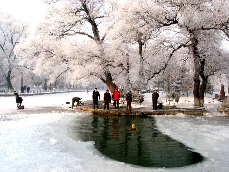 雪-雾凇下冬泳者