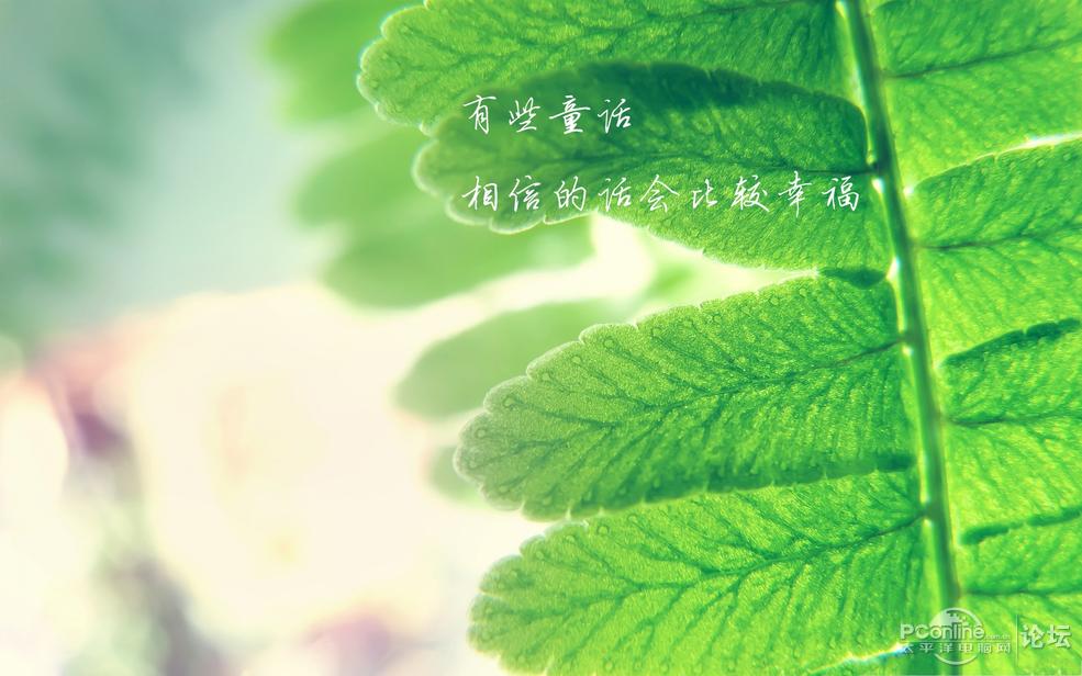 小清新文字控护眼高清壁纸