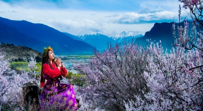 【2015全年西藏拉萨林芝纳木措自助游摄影图