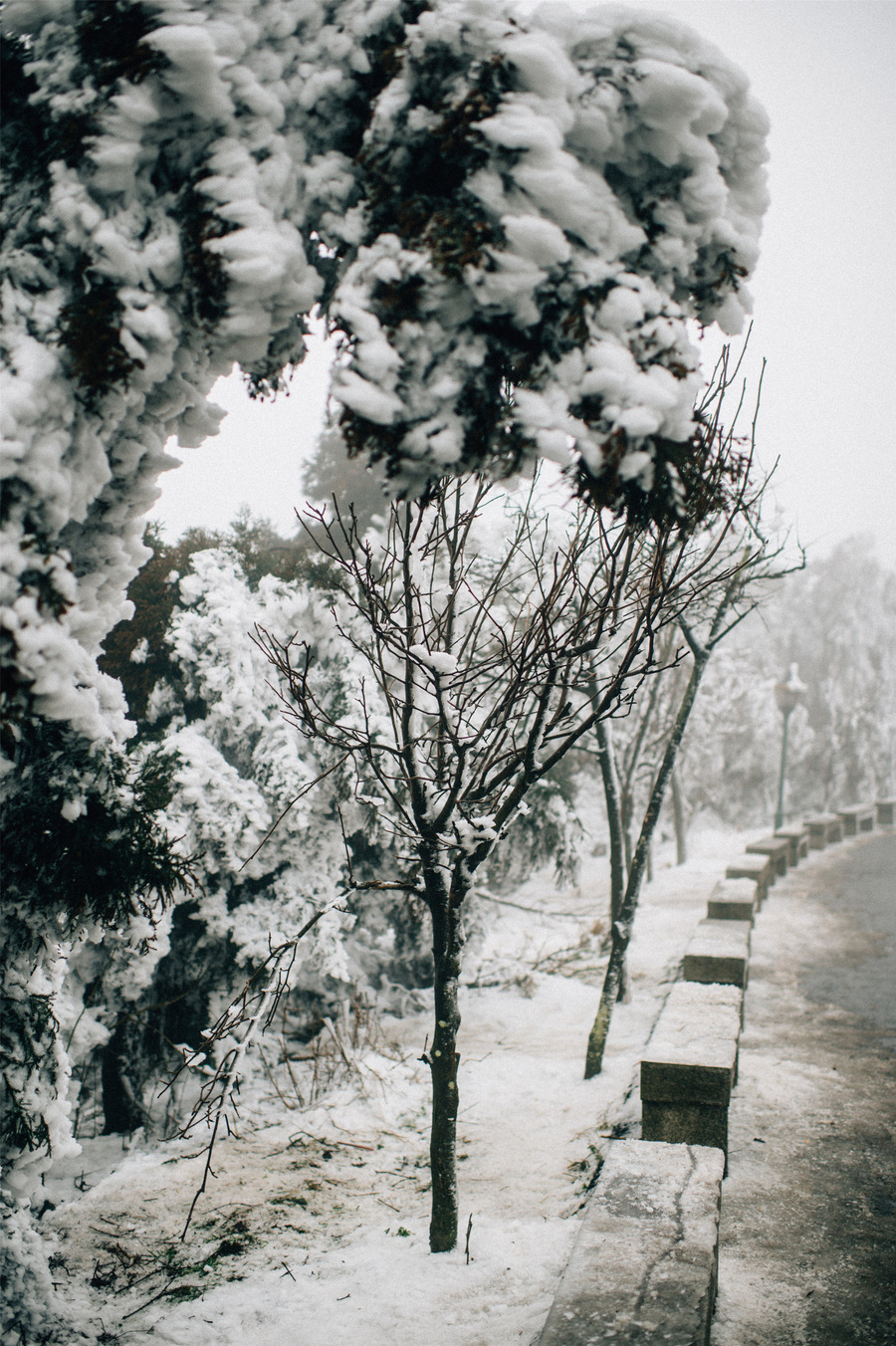 衡山拜雪