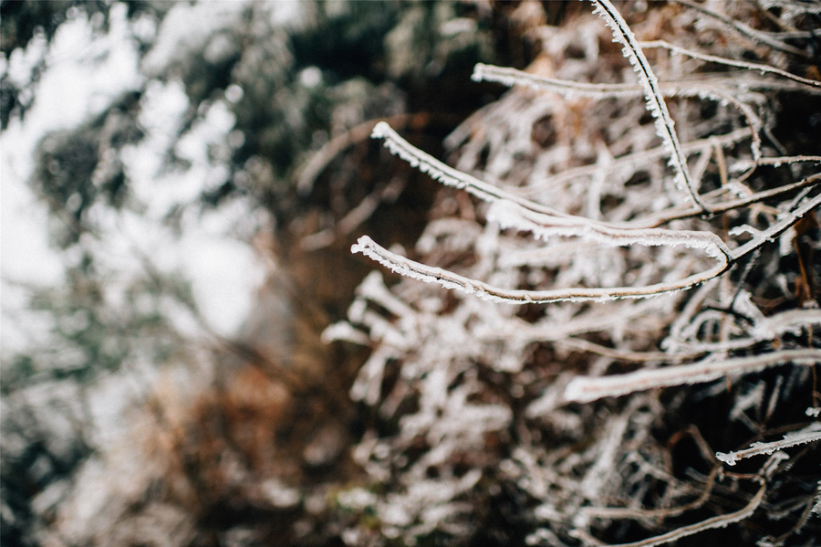 衡山拜雪