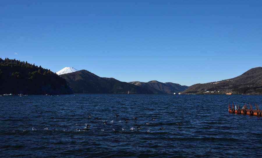 【芦之湖,箱根,富士山摄影图片】风光旅游摄影