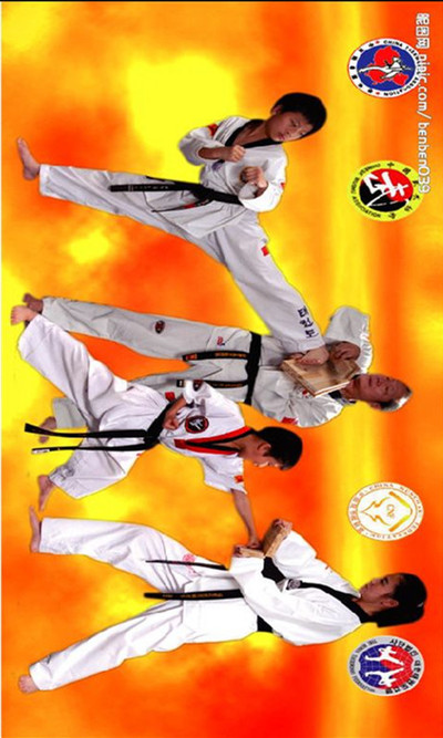 跆拳道教学视频:是一门韩国格斗术,以其腾空,旋