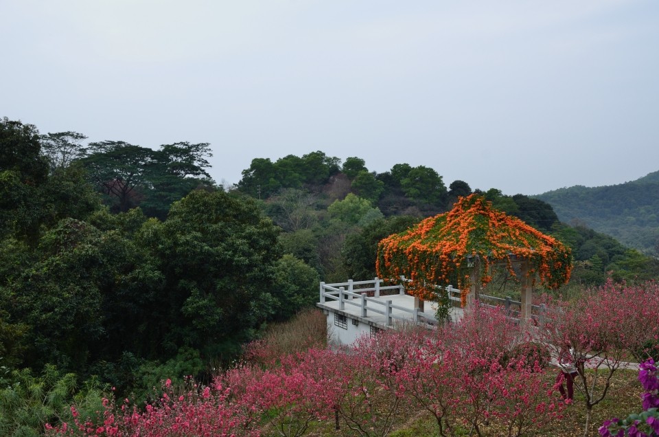 广州桃花涧小景_尼康D7000论坛_太平洋电脑