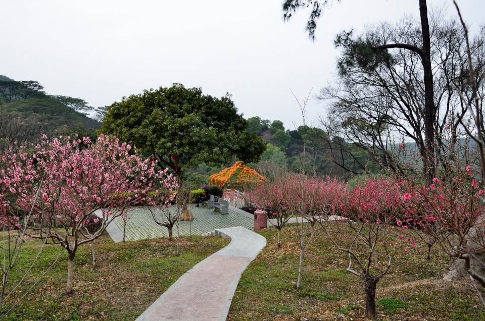 广州桃花涧小景_尼康D7000论坛_太平洋电脑