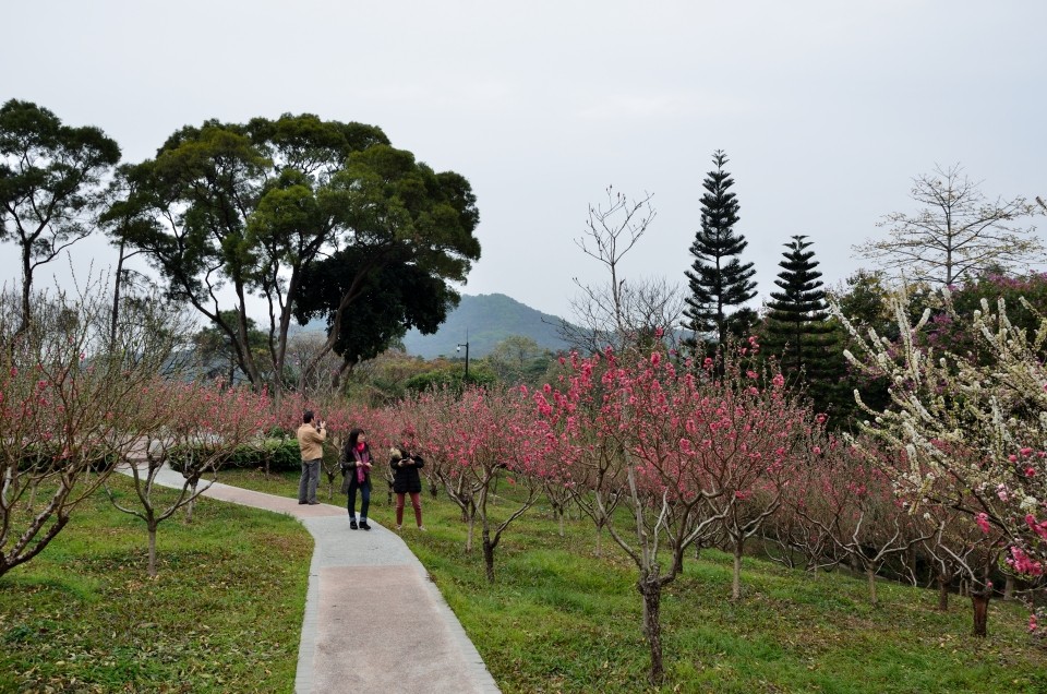 广州桃花涧小景_尼康D7000论坛_太平洋电脑