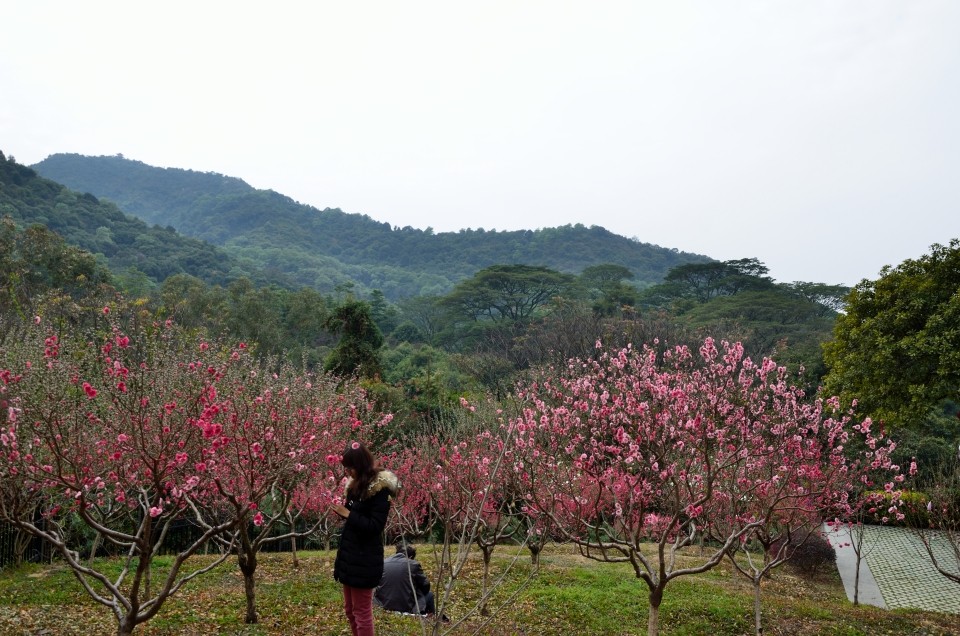 广州桃花涧小景_尼康D7000论坛_太平洋电脑