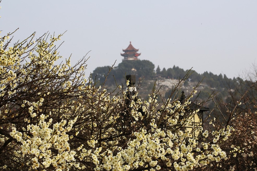 苏州西山林屋洞梅园_佳能5D Mark III论坛_太平洋电脑网产品论坛 该帖子正在审核中