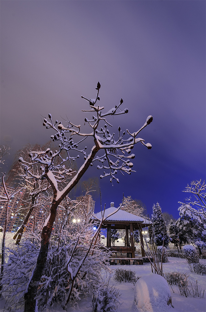 瑞雪兆丰年