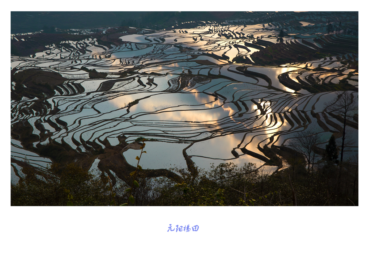 元阳梯田