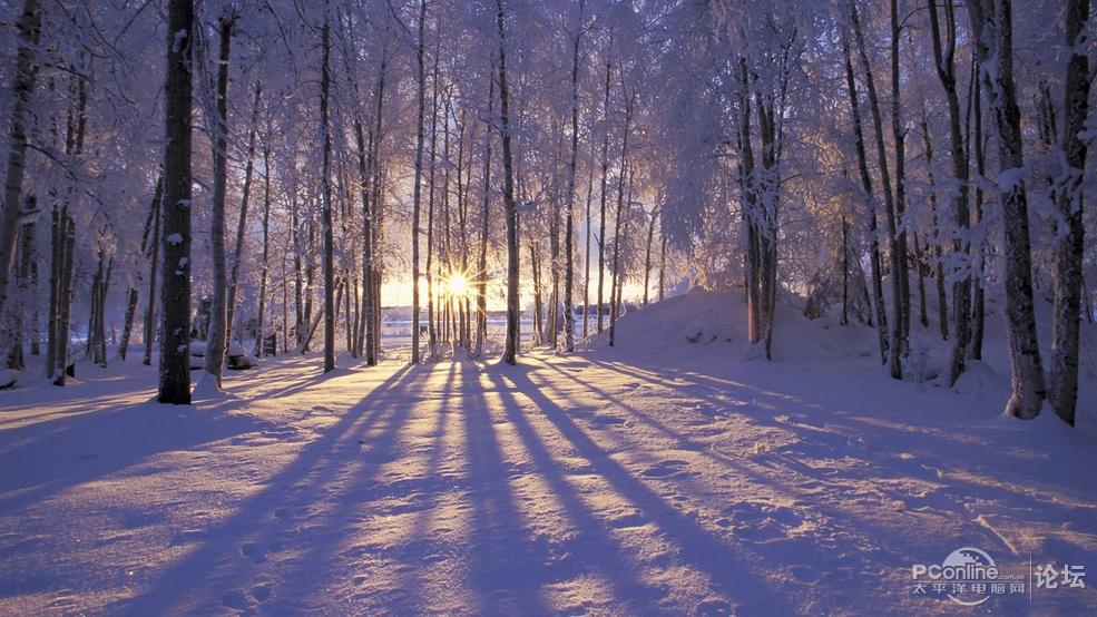 冬季雪景桌面壁纸