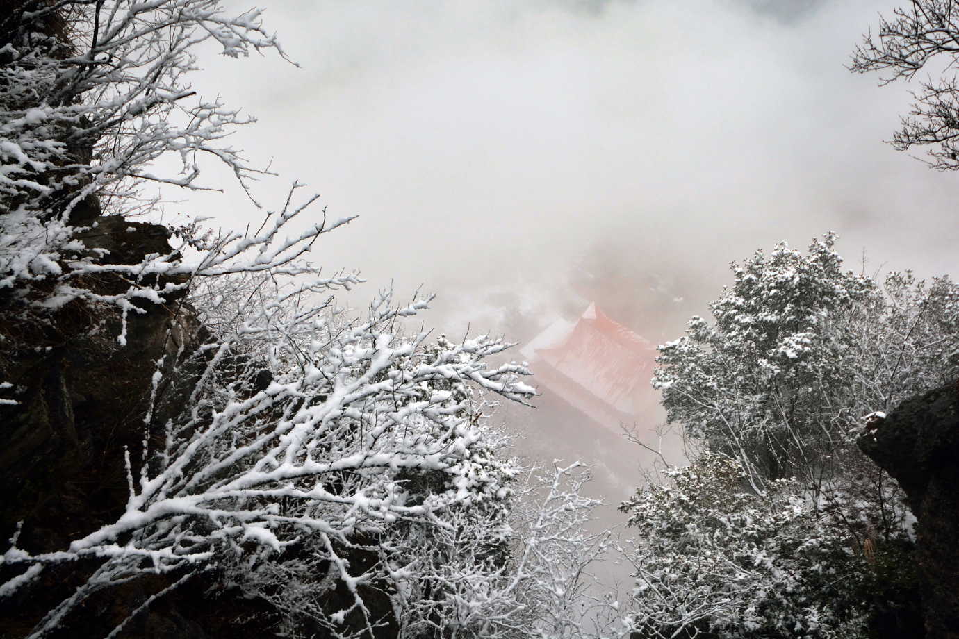 大雾弥漫,天柱山赏雪